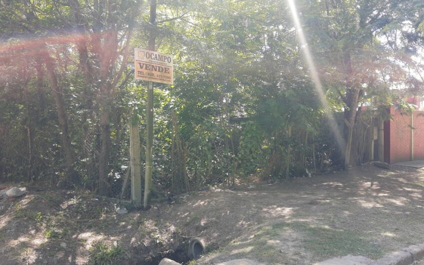 LOTE/ TERRENO